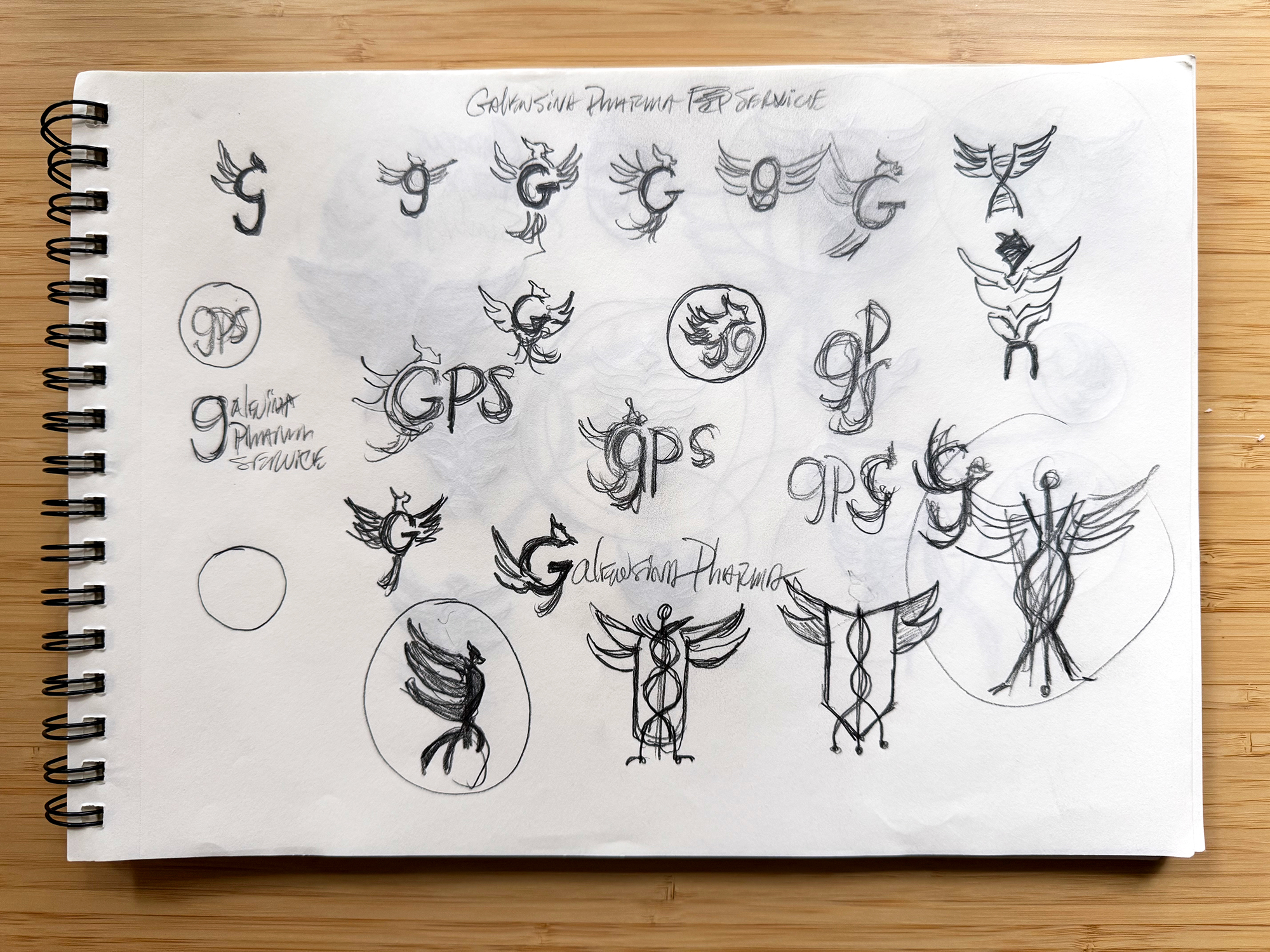 galensina_sketches_1_1000